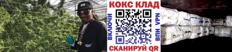 ссылка на мегу зеркало  Сунжа  COCAIN 99% 
