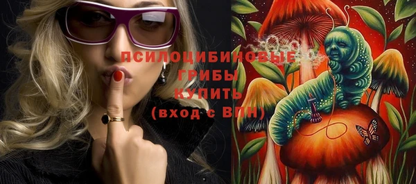 гашик Дмитров