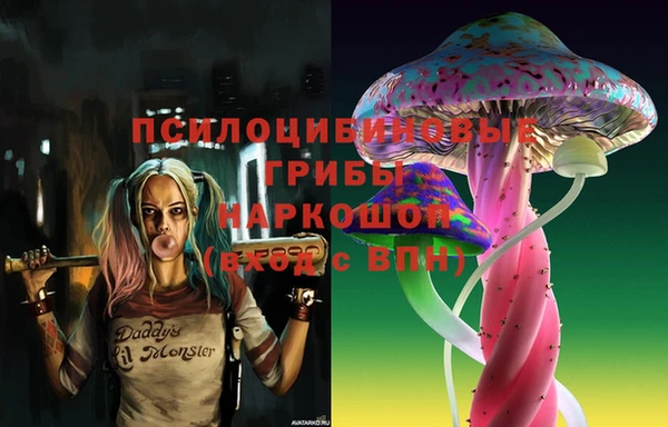 ПСИЛОЦИБИНОВЫЕ ГРИБЫ Баксан
